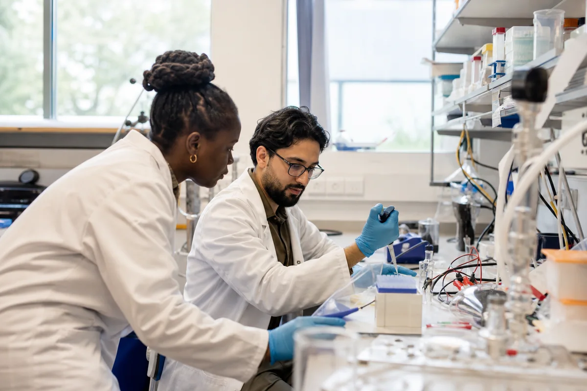 Professionals working in research, evaluation and innovation